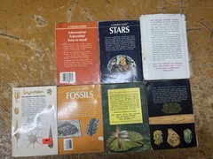 Golden Guide Nature Books Lot of 7 Birds Stars Fossils Rocks Shells Flowers