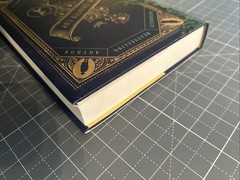 Tainted Cup by Robert Jackson Bennett – Aardvark 1st Print Hugo winner