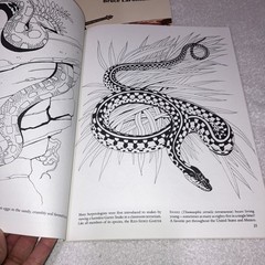 Dover Vintage Coloring Books Lot of 9 Assorted Educational 1981-2002 Unused