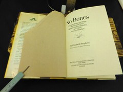 No Bones: A Key to Bugs and Slugs, Worms and Ticks, Spiders and Centipedes, Othr