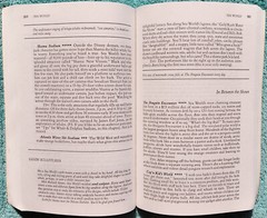 Disney World And Beyond The Ultimate Family Guidebook 1992 Paperback 270 Pages