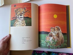 TIGER FLOWER HCDJ LOT 2~Love~ROBERT VAVRA~Fleur Cowles~YE MENUHIN~PRINCESS GRACE