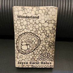 Joyce Carol Oates Wonderland Paperback Book Club Edition 1992, Illustrated