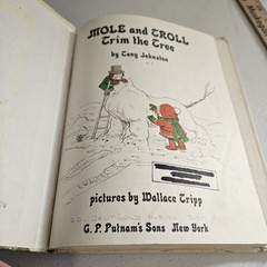 Mole And Troll Trim The Tree by Tony Johnston 1974