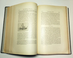 American Indian Ethnology Twenty Fifth 25th Annual Report 1903-1904