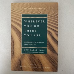 Jon Kabat-Zinn Mindfulness Lot 2x Full Catastrophe Living Hermann Hesse Jamison