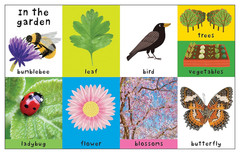 First 100 Nature Words: a Padded Book―Perfect for Little Hands to Hold