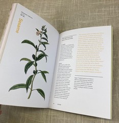 Herbal Handbook Cookbook Recipes Tinctures Teas Balms Botanical Garden Art