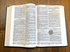 Italian Language Bible, Sacra Bibbia, Reformation-era Diodati, Hardcover