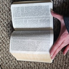 New World Translation Holy Scriptures 1984 Revised Bible Watch Tower Society