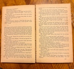 Lot of 17 Classic Lit Fiction Books (Varied Authors)