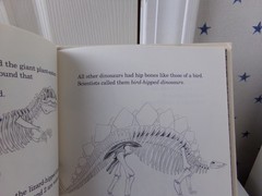 By Millicent E. Selsam A First Look at Dinosaurs Science Vtg Hardcover Book 1982