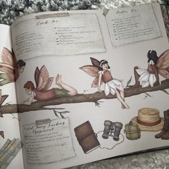 Natural History of Fairies by Emily Hawkins (2020, Hardcover)
