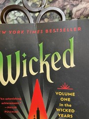 The Wicked Years Box Set 4 Books Gregory Maguire Oz Series Complete Readers Copy