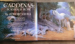 CARDENAS: HORSES & HOME By Robert Vavra HC/DJ Beautiful Coffee Table Book!