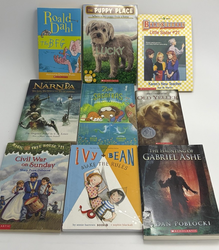 20+ Kids Books Lot Mixed Titles Children’s Books Bulk Reading