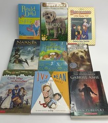 20+ Kids Books Lot Mixed Titles Children’s Books Bulk Reading