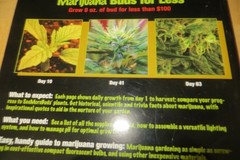 Marijuana Buds for Less: Grow 8 oz. of Bud for Less Than $100, SeeMoreBuds