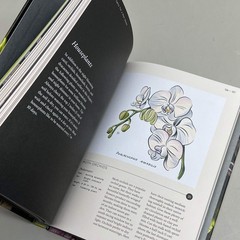 MOON GARDEN By Jarema Osofky Guide To Creating An Evening Oasis Hardcover Book