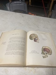 Anatomy and Construction of the Human Figure Perfect Charles Earl 1949
