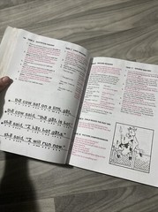 Teach Your Child to Read in 100 Easy Lessons: Revised and Updated Second Edi…