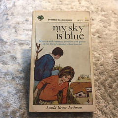My Sky Is Blue Loula Grace Erdman 1965 Willow Books School Story Romance Book