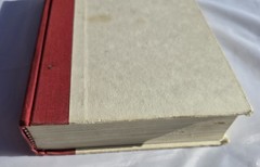 Steven M. Newman Worldwalk HC 1st Ed William Morrow (1989)