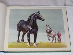 Horse Lithographs Prints Around the World with Horses Book Sam Savitt 1962 HC