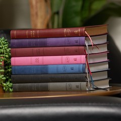 KJV Holy Bible: Value Large Print Thinline, Pink Leathersoft, Red Letter,…