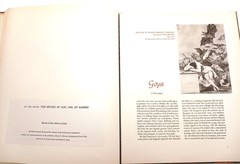 Goya: Great Art of the Ages (Hardcover, Harry Abrams Inc) Frederick S. Wight