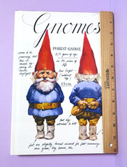 Gnomes by Wil Huygen Illustrated by Rien Poortvliet 1977 Vintage Hardcover DJ