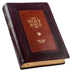 KJV Study Bible Large Print Thumb Indexed 2 Ribbons BRAND NEW in Shrink Wrap!!!