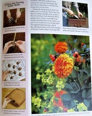 Essential Gardening Encyclopedia – Fog City Press – 608 Pages Full Color