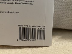 Allen Levi Theo of Golden: A Novel Trade Paperback 2025 Atria 400 Pages