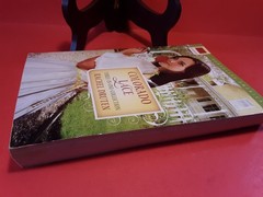 Romancing America Colorado Lace Rachel Druten 2009 Softcover VERY GOOD