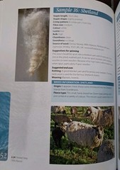 SPINNING WOOL: BEYOND THE BASICS By Anne Field *LIKE NEW*
