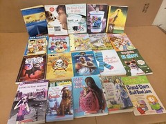 Lot of 100 Chapter INSTANT LIBRARY Children RANDOM~MYSTERY BOX~UNSORTED BOOK MIX