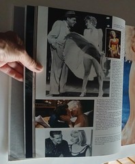 The Playmate Book: Five Decades of Centerfolds by Gretchen Edgren/Playboy 1st Ed