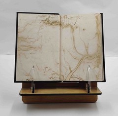 A History Of Central Banking And The Enslavement Of Mank [Premium Leather Bound]