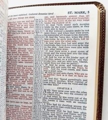 World Bible BURGUNDY GENUINE BONDED LEATHER World’s Thinnest Reference Bible KJV