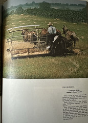 The Amish: A Pioneer Heritage Siged by Author With Dust Cover 175 Pages