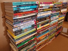 Lot of 20 Chapter Books for BOYS Youth Early Reader Young Adults Children RANDOM