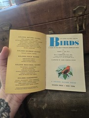 Birds Golden Nature Guide Book 1956 Paperback Vintage Pocket Book American Birds