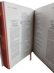 The Jesus Bible Pink with Gold In Box Louie Giglio Leather soft over board