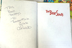 11 Berenstain Bears Books. 2 are Double Books. Jan & Mike Berenstain
