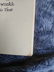 A Wrinkle in Time Quintet Ser.: A Wrinkle in Time by Madeleine L’Engle (2007,…
