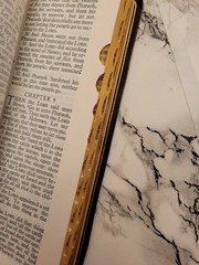 Vintage Holman Holy Bible Black French Morocco Leather Gold Red Letter Regal