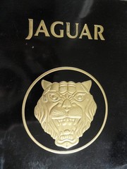 1980 Jaguar XJ-6 XJ6 / XJ-12 XJ12 Sales Brochure