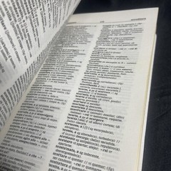 Collins Mondadori Italian Dictionary Paperback Water Resistant Cover Travel