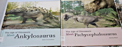 Lot 14 Library Bound Hardcover The Age of Dinosaurs Books